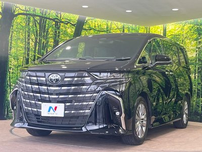 2025 Toyota ALPHARD 照片 59