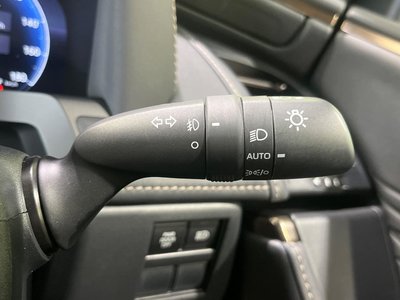 2025 Toyota ALPHARD 照片 34