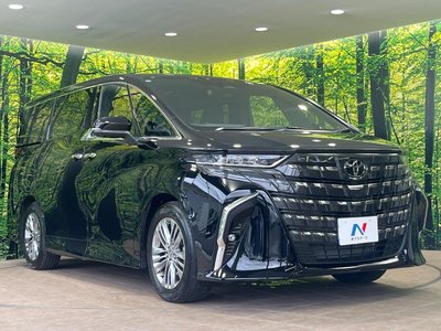 2025 Toyota ALPHARD 照片 18