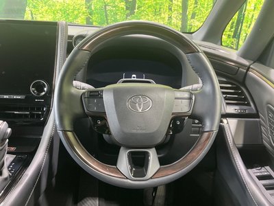 2025 Toyota ALPHARD 照片 13