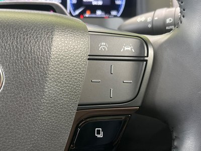 2025 Toyota ALPHARD 照片 32