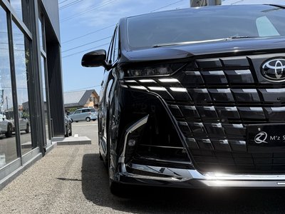 2026 Toyota ALPHARD 照片 19
