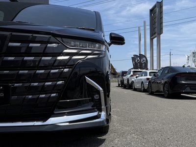 2026 Toyota ALPHARD 照片 20