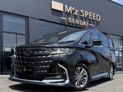 2026 Toyota ALPHARD 照片 11
