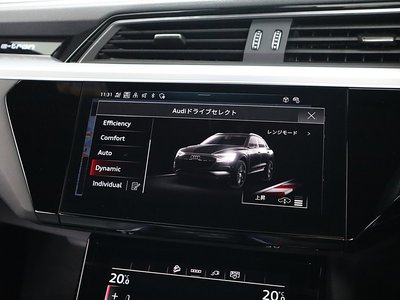 صورة مصغرة 263 لـ 2024 AUDI E-TRON