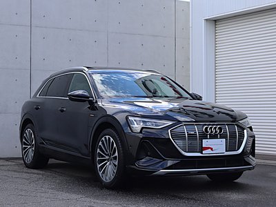 صورة مصغرة 55 لـ 2024 AUDI E-TRON
