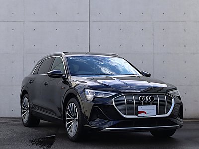 صورة مصغرة 19 لـ 2024 AUDI E-TRON