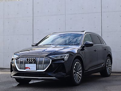صورة مصغرة 56 لـ 2024 AUDI E-TRON