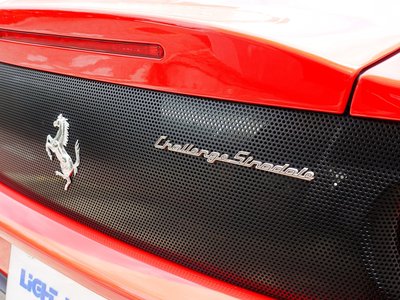 2004 Ferrari CHALLENGE STRADALE 缩略图 8