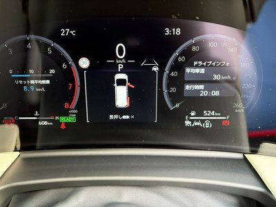 2026 Lexus LM photo 10