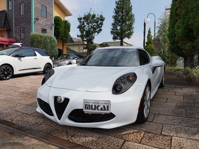 2015 ALFA Romeo 4C — фото 4