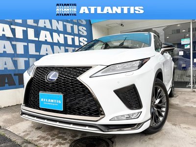 2021 Lexus RX 照片 1