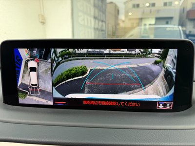 2021 Lexus RX 照片 37