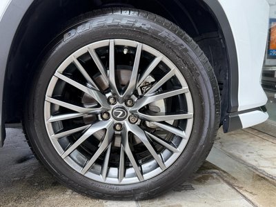 2021 Lexus RX 照片 17