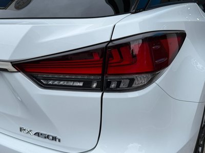 2021 Lexus RX 照片 21