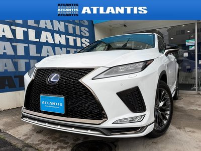 2021 Lexus RX 照片 2