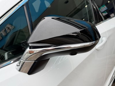 2021 Lexus RX 照片 13