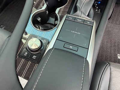 2021 Lexus RX 照片 32