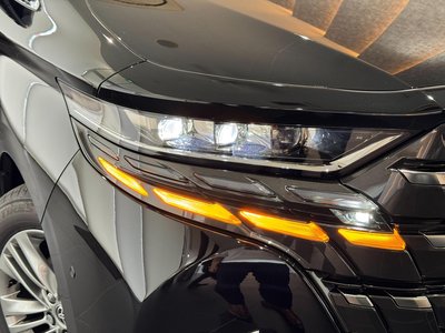 2026 Toyota ALPHARD 照片 18