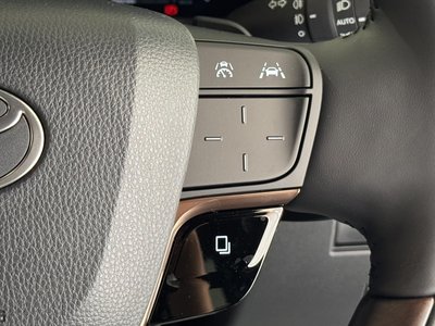 2026 Toyota ALPHARD 照片 58