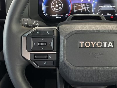 2025 Toyota LAND CRUISER 250 — фото 32