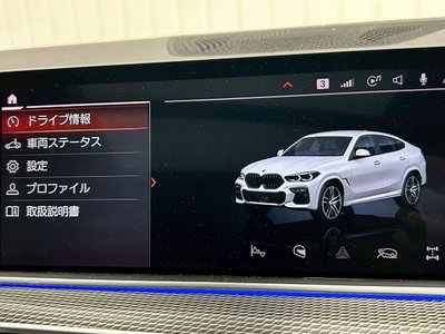 2020 BMW X6 缩略图 78