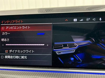 2020 BMW X6 缩略图 79