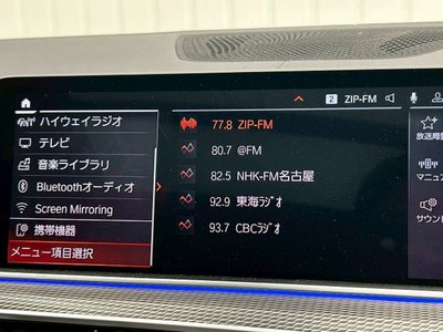 2020 BMW X6 缩略图 73