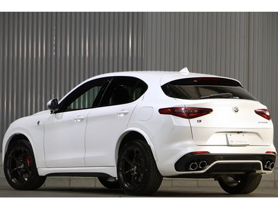 2019 ALFA Romeo STELVIO — фото 25