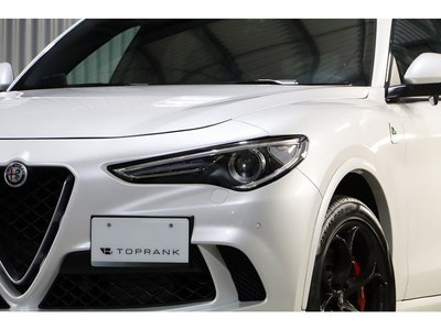 2019 ALFA Romeo STELVIO — фото 30