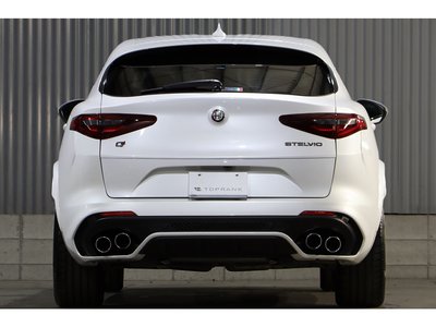 2019 ALFA Romeo STELVIO — фото 14