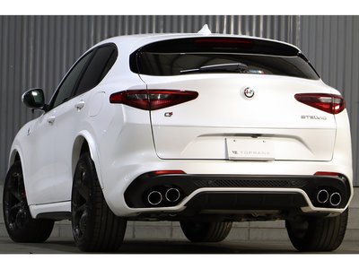 2019 ALFA Romeo STELVIO — фото 24