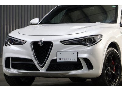 2019 ALFA Romeo STELVIO — фото 29
