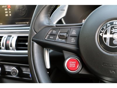 2019 ALFA Romeo STELVIO — фото 42