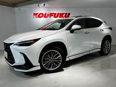 2022 Lexus NX — фото 4