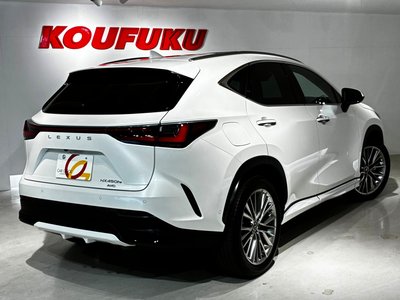 2022 Lexus NX — фото 13