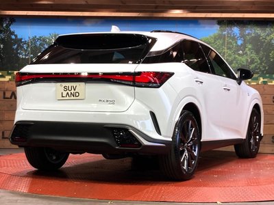 صورة 17 لـ 2025 Lexus RX