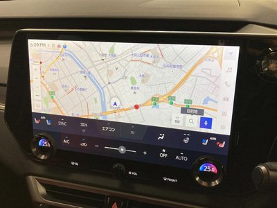صورة 59 لـ 2025 Lexus RX
