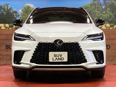 صورة 14 لـ 2025 Lexus RX