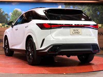 صورة 30 لـ 2025 Lexus RX