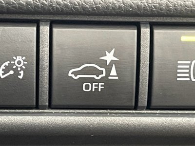 2024 Toyota LAND CRUISER 250 thumbnail 59