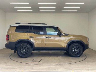 2024 Toyota LAND CRUISER 250 thumbnail 17