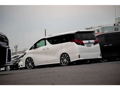2021 Toyota ALPHARD 照片 35