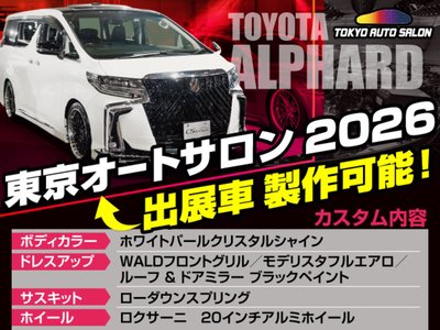 2021 Toyota ALPHARD 照片 32