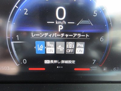 2024 Toyota LAND CRUISER 250 photo 44