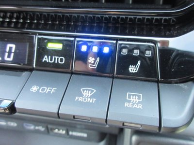 2024 Toyota LAND CRUISER 250 photo 10