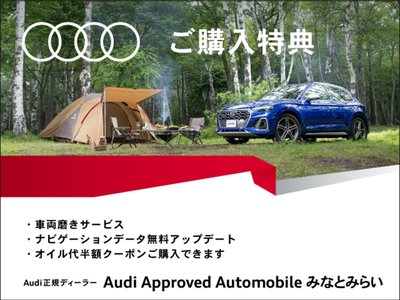 2025 AUDI SQ6 E-TRON — фото 10