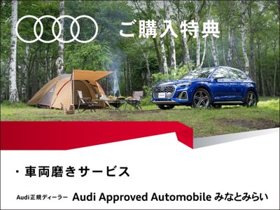 2025 AUDI SQ6 E-TRON — фото 15