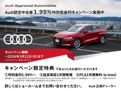 2025 AUDI SQ6 E-TRON — фото 13