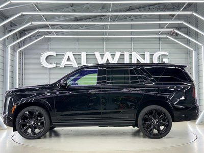 2025 Cadillac ESCALADE 照片 13